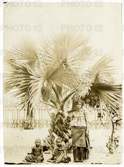 Sheltering under a palm, West Africa