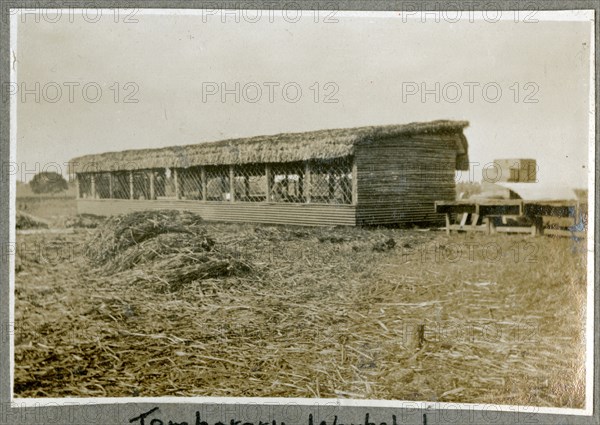 The Bungeys' house at Kabete