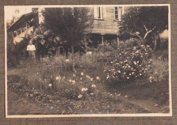 The Bungeys' garden, Machakos