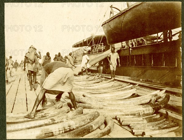 Stacking elephant tusks, Kampala Pier