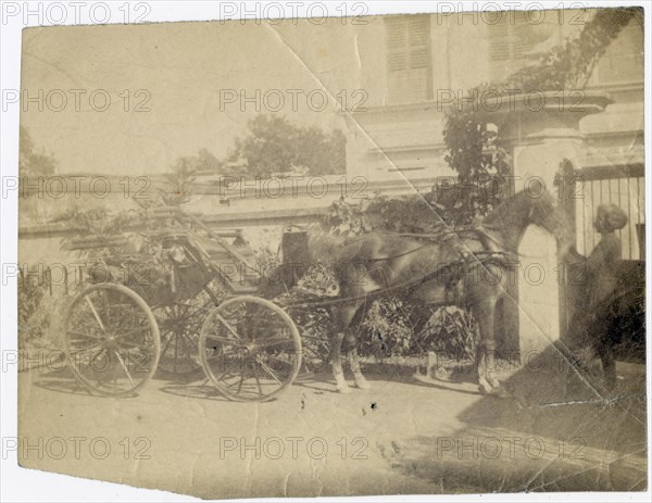 Horse-drawn cart outside building