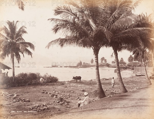 Port Blair Harbour, Andaman Islands