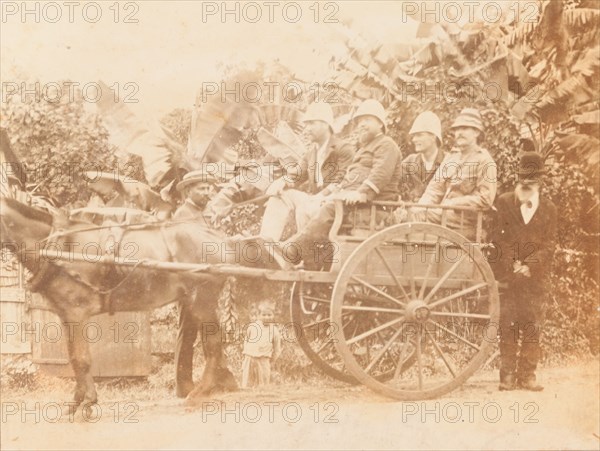 European men seated in horse drawn cart, Mauritius