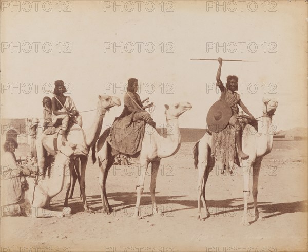 Group of Bicharin men riding camels