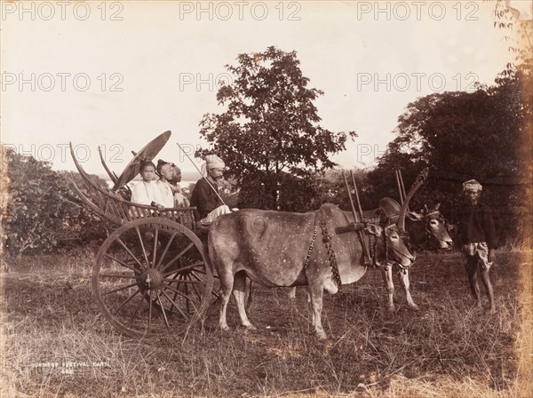 Girls seated in a Burmese festival cart