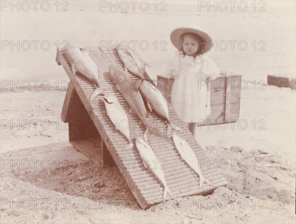 Fishing catch, Ross Island