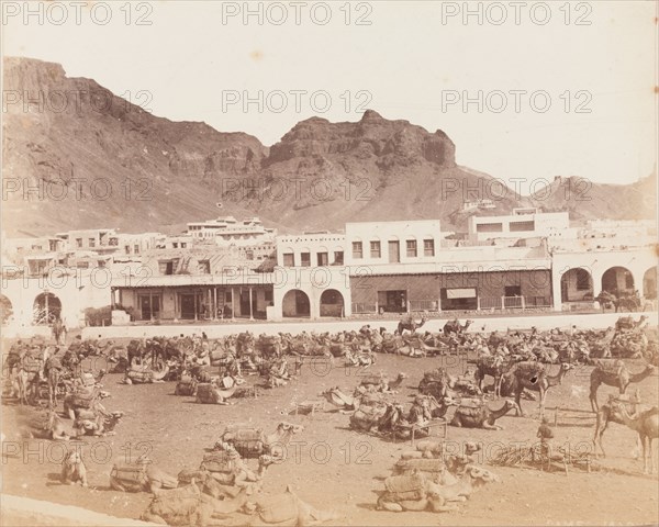 Camel market, Aden