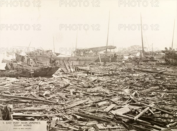 Typhoon devastation at East Point harbour