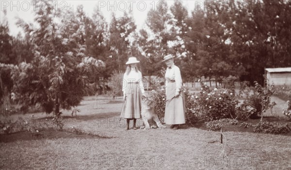 Mrs Elkington poses with her pet lion