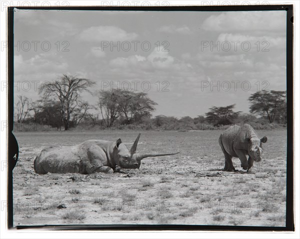 Amboseli Game Reserve