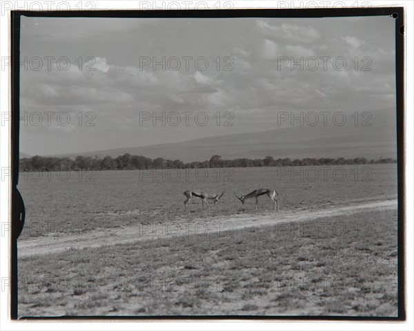 Amboseli Game Reserve