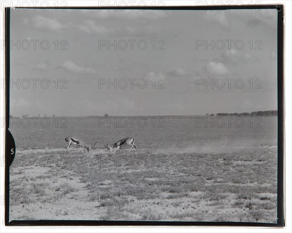 Amboseli Game Reserve