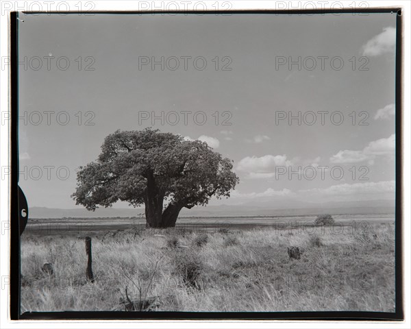 View of Lake Manyara