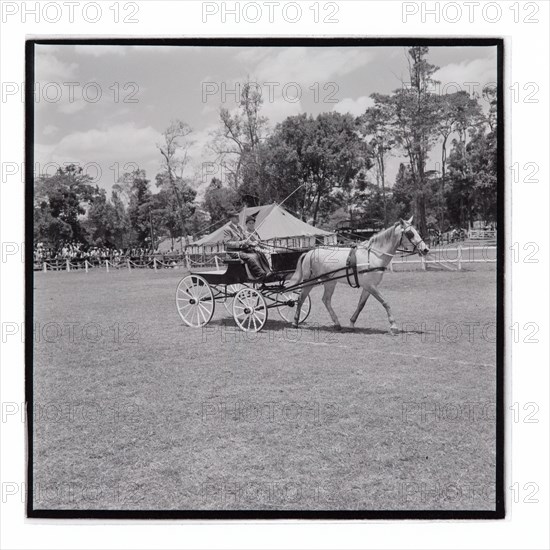 Royal Show 'Driving Class' Event