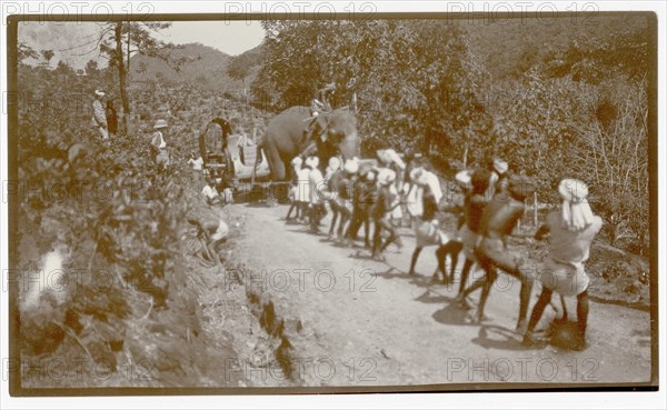 Plantation workers and elephant hauling load