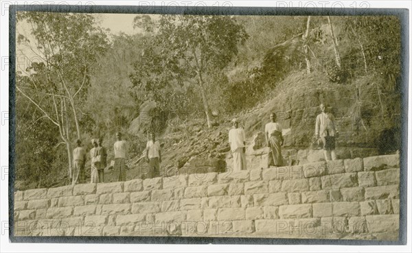 Plantation workers on embankment