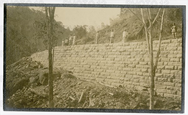 Plantation workers on embankment