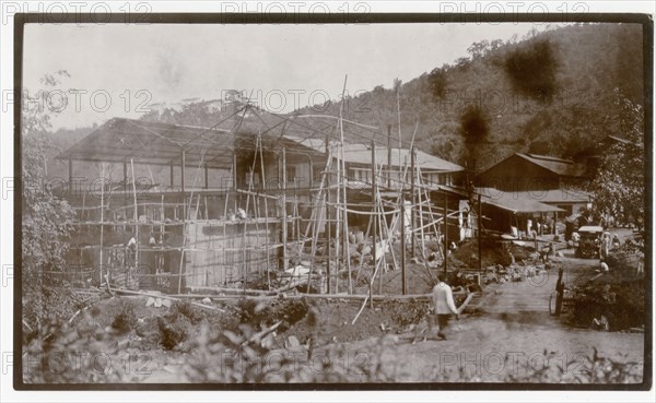 Plantation hospital construction