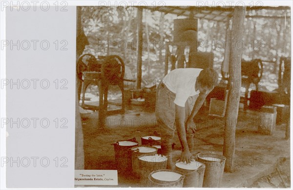 Rubber factory worker with buckets of latex