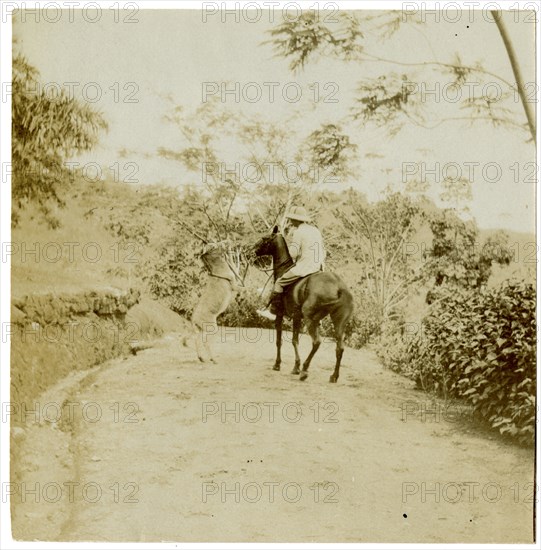 Horse-rider and donkey, Sri Lanka