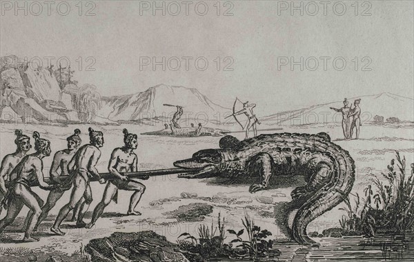 16th century French expedition. Florida. Crocodile hunting. In the expedition Jacques Le Moyne de Morgues (1533-1588) made the illustrations. 19th century engraving by Fortier after the original of Jacques Le Moyne. Panorama Universal. History of the United States of America, from 1st edition of Jean B.G. Roux de Rochelle's Etats-Unis d'Amérique in 1837. Spanish edition, printed in Barcelona, 1850.
