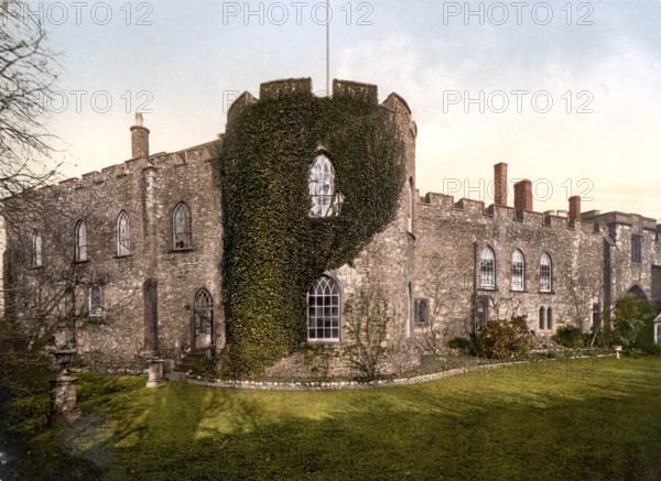 The Castle