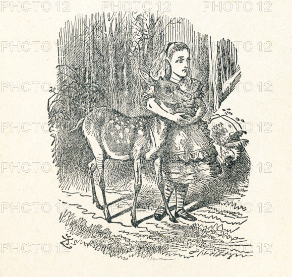 This is a scene from what Alice saw once she went through the Looking Glass and into the Looking Glass room in Lewis Carroll's ""Through the Looking Glass."" here, Alice has her arm around the neck of a Fawn that had come wandering by.