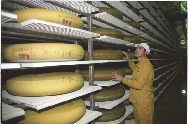 Cheese warehouse in Kaltbach 1995.