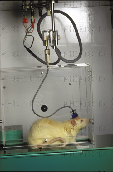 Laboratory Council, 1987