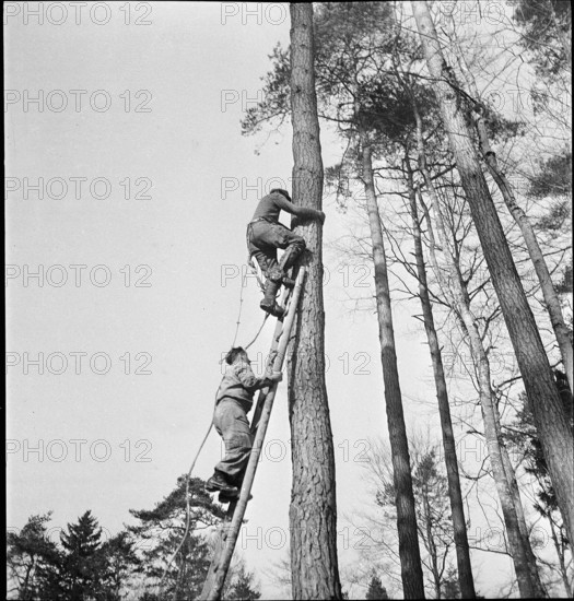 Land reclamation, extend area of cultivable land; clearing; 1942.