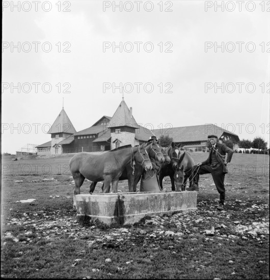 42nd Marche-Concours Saignelegier, horse watering place, 1945.