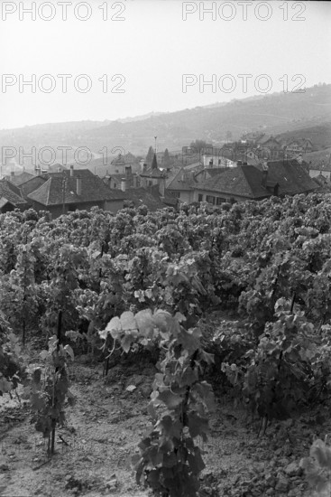 Epesses; 1971.