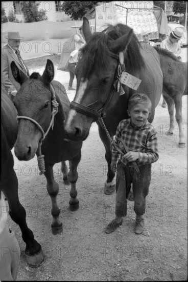 62nd Marche-Concours Saignelegier, boy with horse, 1965.