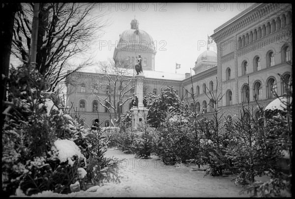 Christmas tree market in Berne 1967.