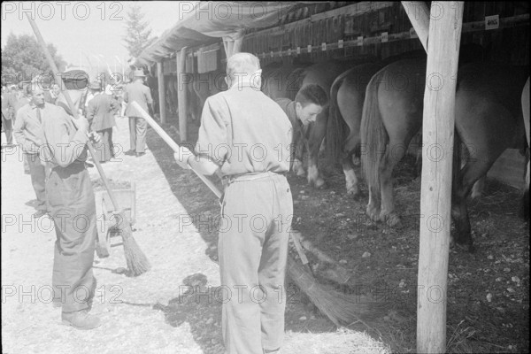 60th Marche-Concours Saignelegier, horse stable, 1963.