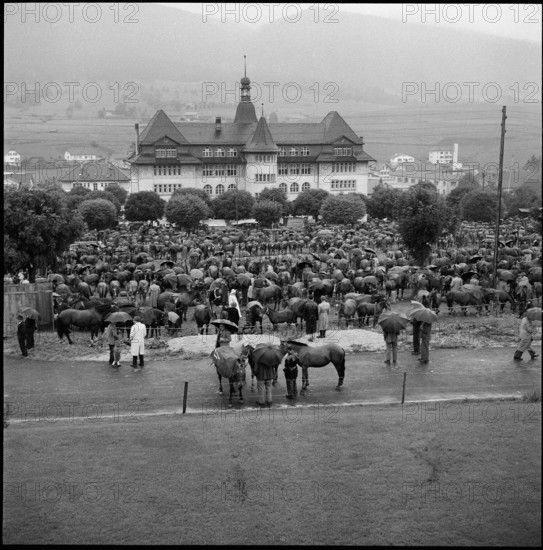 Horse market of Chaindon-Reconvilier, schoolhouse, 1956.