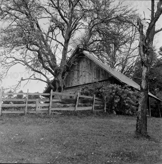 Hochwacht near Langnau; 1966.