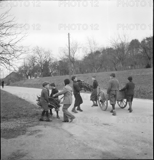 Boys collecting wood in Biel-Benken, circa in 1948.