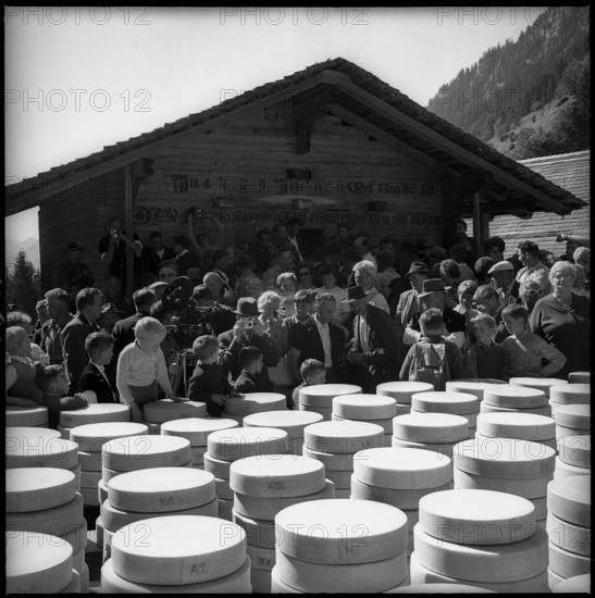 Distribution of cheese in the Justistal Valley, 1964.