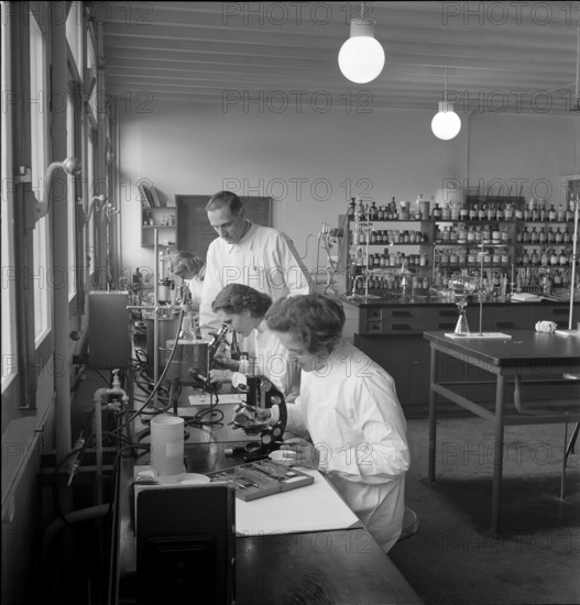 Analysis; medicaments are tested for their effectiveness.