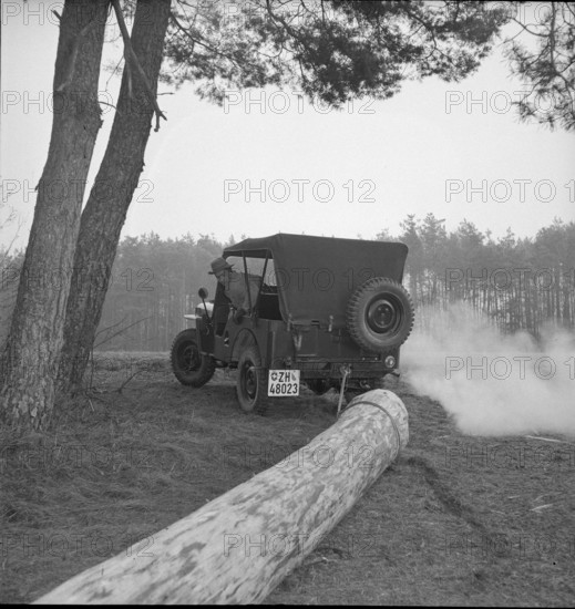 Military Jeep towing spruce trunk 1950.