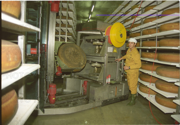 Employee with robot in cheese storage depot 1995.