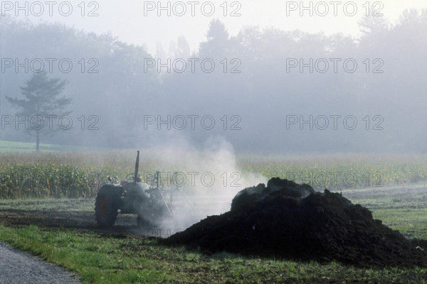 Manuring, dung being spread on a field.