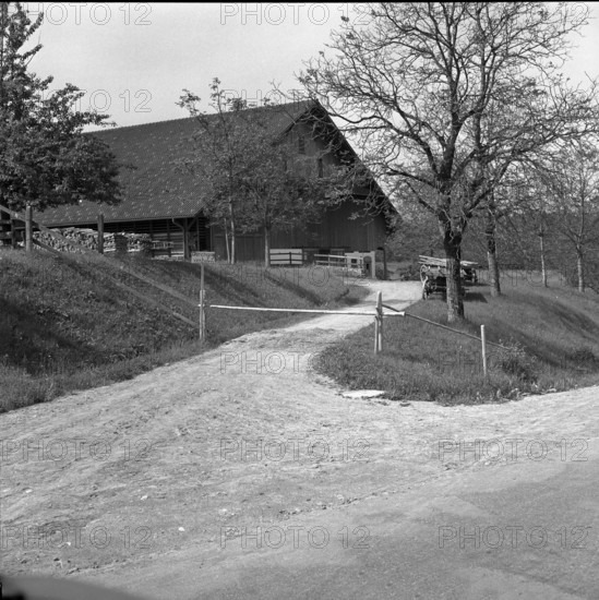 Roadblock due to foot-and-mouth disease in the Freiamt, 1956.