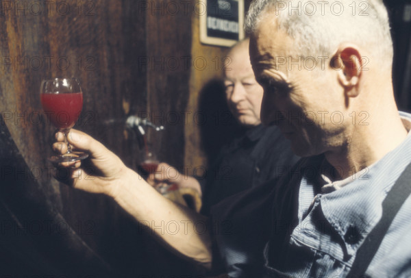 Volg Winery: Tasting Wine.