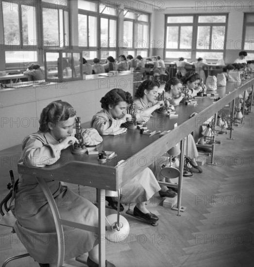Volleges VS; Ebauches SA, watchmaking industry workers; 1953.