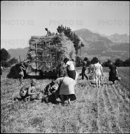Hay cart; Gleaning; 1945.
