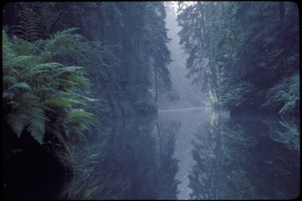Untouched river 1982.