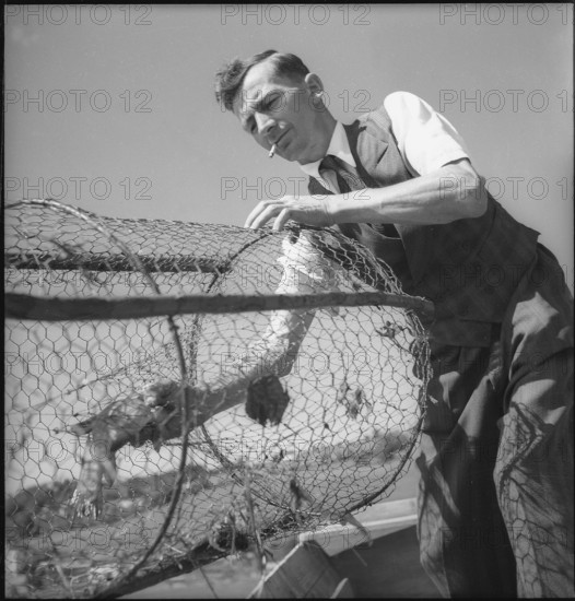 Fisherman with fish trap on the Doubs river 1945