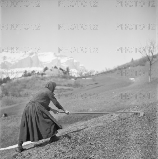 Albinen, woman working in the field; 1941